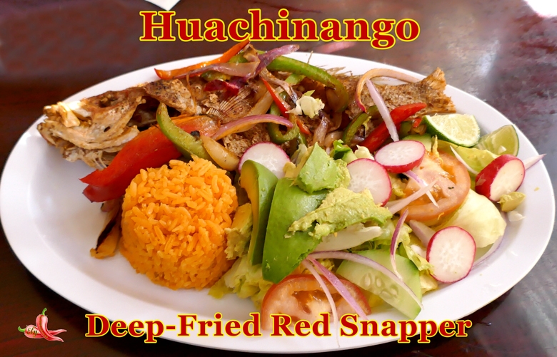 SnapperJoseP1040403780z501