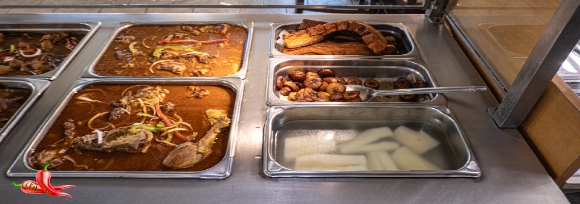 Steam01P1040553780x520