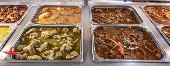 Steam04P1040556780x520